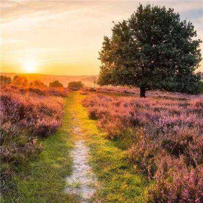 江南体育官方网址